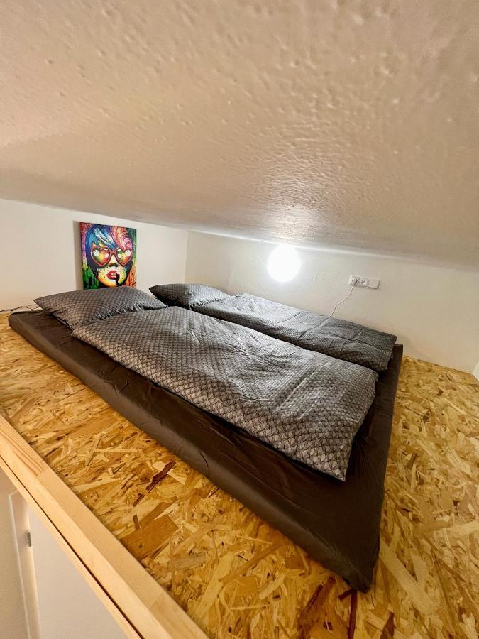 Apartman Zlata Hvezda 체스케부데요비체 외부 사진