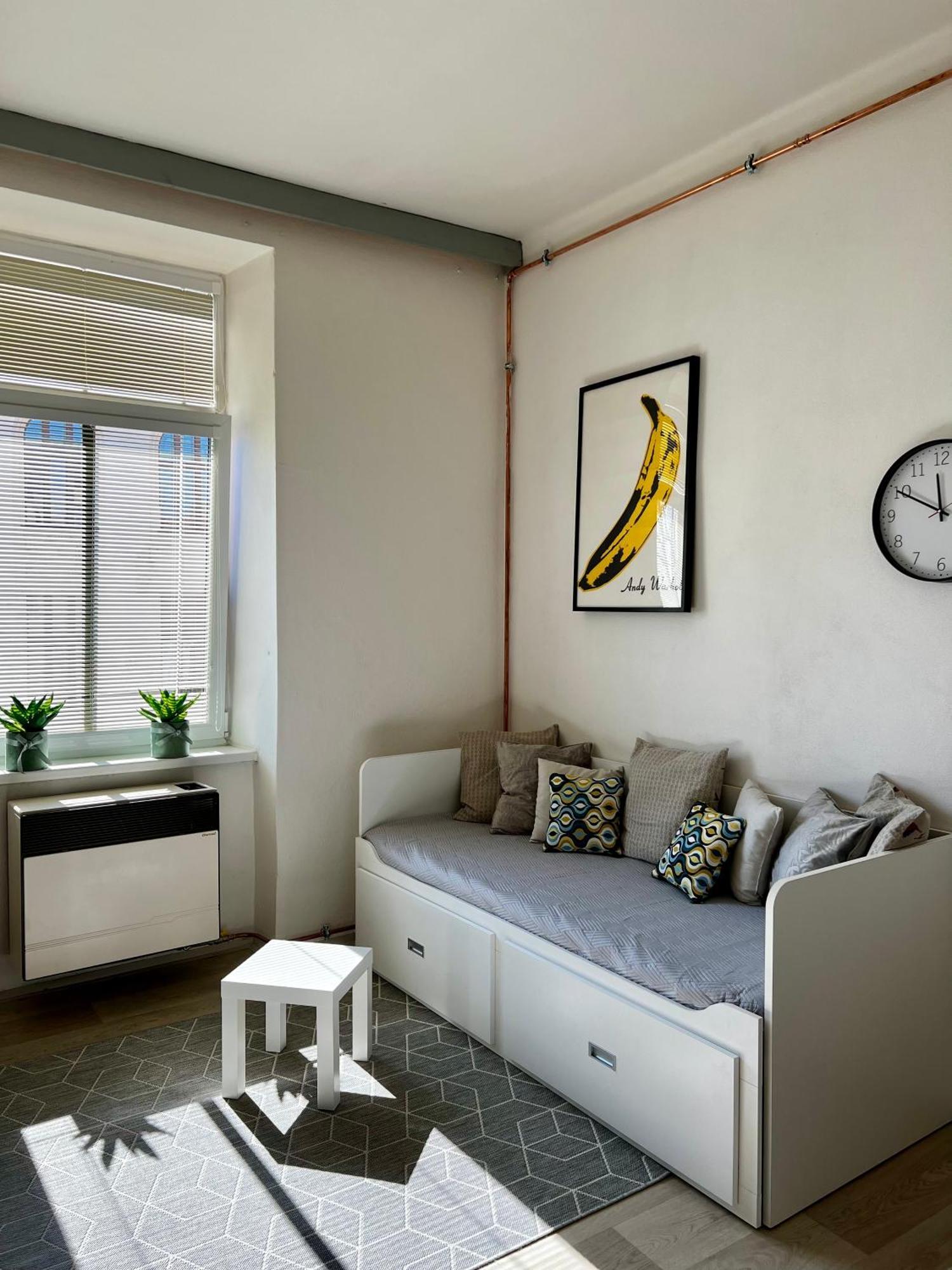 Apartman Zlata Hvezda 체스케부데요비체 외부 사진